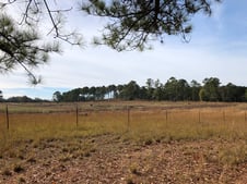 view of field at pursell farms